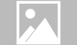 风车动漫在线播放